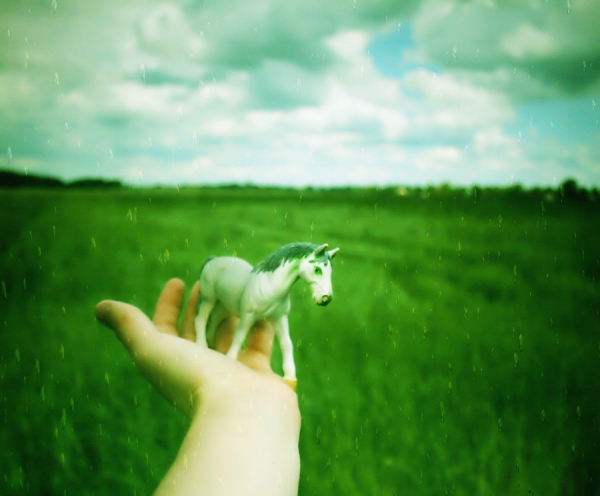Photograph Andreas Kauppi Mr. Horse on One Eyeland